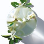 عطر ادکلن بلوسام الکسیر کارولینا هررا - Blossom Elixir Carolina Herrera - بررسی، قیمت و خرید