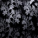 عطر ادکلن تیوبرُز آنجلیکا ریچ اکستریت جو مالون لاندن - Tuberose Angelica Rich Extrait Jo Malone London - بررسی، قیمت و خرید