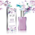 عطر ادکلن میس فنجال ولوت ارکید فِنژال - Miss Fenjal Velvet Orchid Fenjal - بررسی، قیمت و خرید