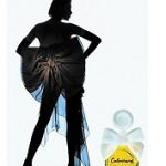 عطر ادکلن ار دو کابوچارد گری - Air de Cabochard Grès - بررسی، قیمت و خرید