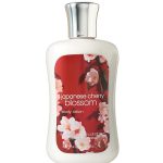 عطر ادکلن شیر جاپنیز چری بلوسم بث اند بادی ورکس - Sheer Japanese Cherry Blossom Bath & Body Works - بررسی، قیمت و خرید