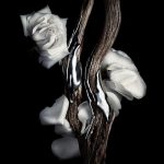 عطر ادکلن ام‌ام‌دبلیو ژیوانشی - MMW Givenchy - بررسی، قیمت و خرید