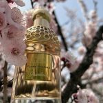 عطر ادکلن آکوا الگریا فلورا نیمفیا گرلن - Aqua Allegoria Flora Nymphea Guerlain - بررسی، قیمت و خرید