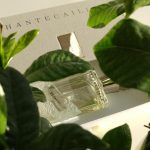 عطر ادکلن پیتالز چنته‌کای - Petales Chantecaille - بررسی، قیمت و خرید