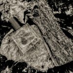 عطر ادکلن رٌز سایلِنس میلل هریس - Rose Silence Miller Harris - بررسی، قیمت و خرید