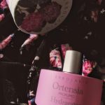 عطر ادکلن اورتنسیا لئربولاریو - Ortensia L'Erbolario - بررسی، قیمت و خرید