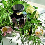 عطر ادکلن استلا استلا مک‌کارتنی - Stella (2014) Stella McCartney - بررسی، قیمت و خرید