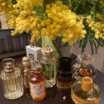 عطر ادکلن میموسا تانرون پریس مونت کارلو - Mimosa Tanneron Perris Monte Carlo - بررسی، قیمت و خرید