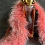 عطر ادکلن ارگنزا او دو تویلت دو دزرت ژیوانشی - Organza Eau de Toilette du Desert Givenchy - بررسی، قیمت و خرید
