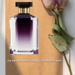 عطر ادکلن استلا استلا مک‌کارتنی - Stella (2014) Stella McCartney - بررسی، قیمت و خرید