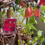 عطر ادکلن فлорالیستا کنزو - Floralista Kenzo - بررسی، قیمت و خرید