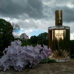 عطر ادکلن سیزارز وومن سزارز ورلد - Caesars Woman Caesars World - بررسی، قیمت و خرید