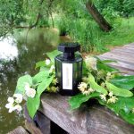عطر ادکلن لا شاس او پاپیون اکستریم لارتیزان پرفیومر - La Chasse aux Papillons Extreme L'Artisan Parfumeur - بررسی، قیمت و خرید
