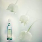 عطر ادکلن لانداش سرِبریستی سیورنو سییانیه - Ландыш серебристый (Muguet Argente) Северное сияние - بررسی، قیمت و خرید