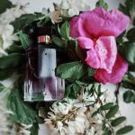 عطر ادکلن استلا استلا مک‌کارتنی - Stella (2014) Stella McCartney - بررسی، قیمت و خرید