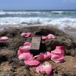 عطر ادکلن هارم رز فورت اند منلی - Harem Rose Fort & Manle - بررسی، قیمت و خرید