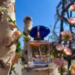 عطر ادکلن مای وی جورجیو آرمانی - My Way Giorgio Armani - بررسی، قیمت و خرید