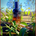 عطر ادکلن زارا نایت پور هوم تری زارا - Zara Night Pour Homme III Zara - بررسی، قیمت و خرید