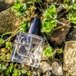 عطر ادکلن رٌز سایلِنس میلل هریس - Rose Silence Miller Harris - بررسی، قیمت و خرید