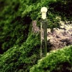 عطر ادکلن تیفانی اند کو تیفانی - Tiffany & Co Tiffany - بررسی، قیمت و خرید