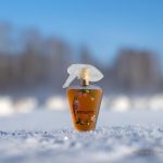 عطر ادکلن پاولووا پایوت - Pavlova Payot - بررسی، قیمت و خرید