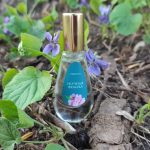 عطر ادکلن نوچنایا فیالکا دیلیس پرفیوم - Nochnaya Fialka Dilís Parfum - بررسی، قیمت و خرید