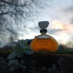 عطر ادکلن آزارو نُه آزارو - Azzaro 9 Azzaro - بررسی، قیمت و خرید