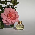 عطر ادکلن ساینچر دوپوینت - Signature S.T. Dupont - بررسی، قیمت و خرید