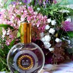 عطر ادکلن گارْدِنیا اِم میکالف - Gardenia M. Micallef - بررسی، قیمت و خرید
