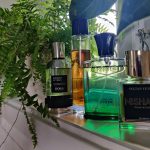 عطر ادکلن وت جی شانزده نوت دی پروفومو - Vet-G16 Note di Profumum - بررسی، قیمت و خرید