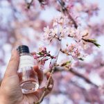 عطر ادکلن ساکورا دیور - Sakura Dior - بررسی، قیمت و خرید