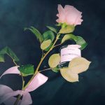 عطر ادکلن اینفلورسن بایردو - Inflorescence Byredo - بررسی، قیمت و خرید