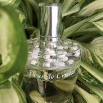 عطر ادکلن فلور د کریستال لالیک - Fleur de Cristal Lalique - بررسی، قیمت و خرید