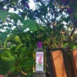 عطر ادکلن سیریَن نوایا زاریا - Сирень (Lilac) Новая Заря (The New Dawn) - بررسی، قیمت و خرید