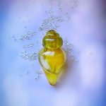 عطر ادکلن کریستین لا کروآ کریستین لاکروا - Christian Lacroix Christian Lacroix - بررسی، قیمت و خرید