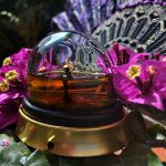 عطر ادکلن فراژایل ژان پل گوتیه - Fragile Jean Paul Gaultier - بررسی، قیمت و خرید