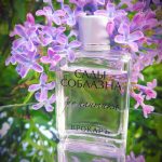 عطر ادکلن رمانتیکا بروکارد - Romantica Brocard - بررسی، قیمت و خرید