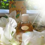 عطر ادکلن بِلایا آکاتسیا سیویرنویه سییانیه - Белая Акация (White Acacia) Северное сияние - بررسی، قیمت و خرید
