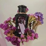 عطر ادکلن آنا سوی آنا سوئی - Anna Sui Anna Sui - بررسی، قیمت و خرید