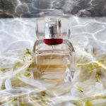 عطر ادکلن دریمینگ تامی هیلفیگر - Dreaming Tommy Hilfiger - بررسی، قیمت و خرید