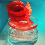 عطر ادکلن فلاور این د اِ ایر او دو تویلت کنزو - Flower in the Air Eau de Toilette Kenzo - بررسی، قیمت و خرید