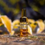 عطر ادکلن آژور اِستی لادر - Azuree Estée Lauder - بررسی، قیمت و خرید