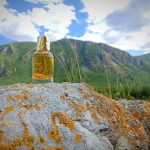 عطر ادکلن کرگر آکوالیس - Kruger Aqualis - بررسی، قیمت و خرید