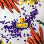 عطر ادکلن مدست میموسا ویلهلم پارفومری - Modest Mimosa Vilhelm Parfumerie - بررسی، قیمت و خرید