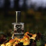 عطر ادکلن زامبی فور هیم دی‌متر فراگرنس - Zombie for Him Demeter Fragrance - بررسی، قیمت و خرید