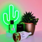 عطر ادکلن سی کی این تو یو فور هر کلوین کلاین - CK IN2U for Her Calvin Klein - بررسی، قیمت و خرید