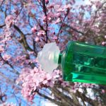 عطر ادکلن گاردنیا الیزابت تیلور - Gardenia Elizabeth Taylor - بررسی، قیمت و خرید