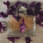 عطر ادکلن توش فینال ژووای پاریس - Touche Finale Jovoy Paris - بررسی، قیمت و خرید