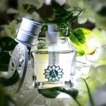 عطر ادکلن لتیشیا آنجلا چمپاگنا - Laetitia Angela Ciampagna - بررسی، قیمت و خرید
