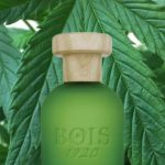 عطر ادکلن کنابیس بویز ۱۹۲۰ - Cannabis Bois 1920 - بررسی، قیمت و خرید